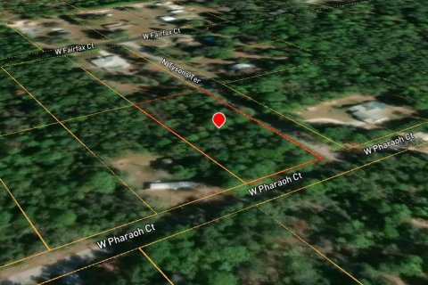 Land in Lecanto, Florida № 2161641 - photo 5