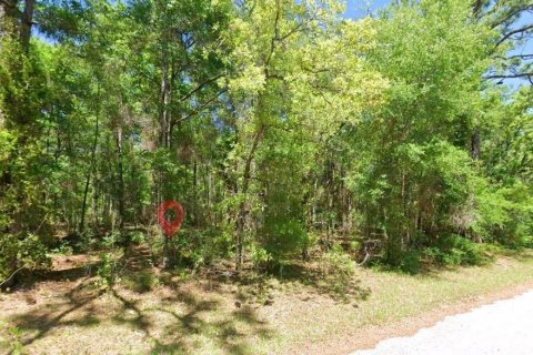 Land in Lecanto, Florida № 2161641 - photo 3
