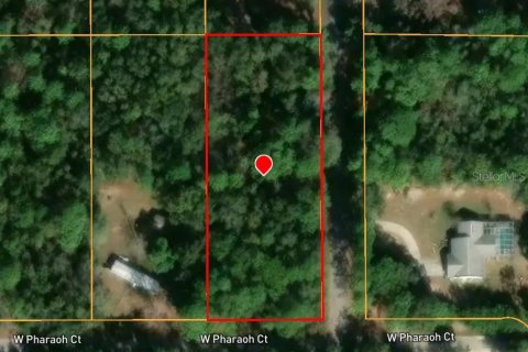 Land in Lecanto, Florida № 2161641 - photo 6