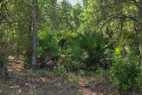Land in Punta Gorda, Florida № 2159450 - photo 4