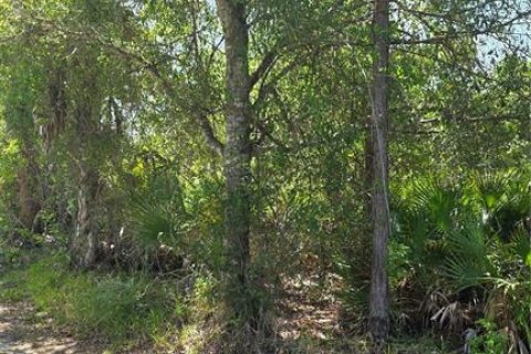 Land in Punta Gorda, Florida № 2159450 - photo 5