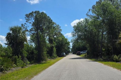 Land in Punta Gorda, Florida № 2159450 - photo 3