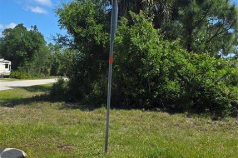 Land in Punta Gorda, Florida № 2159450 - photo 2