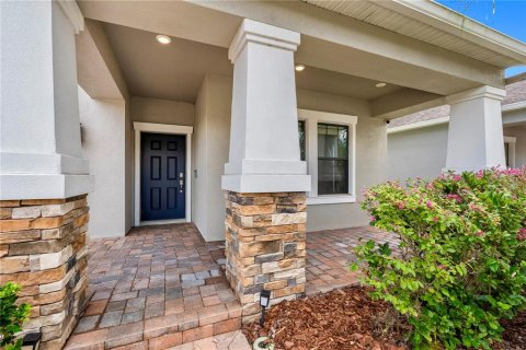 Villa ou maison à vendre à Tampa, Floride: 5 chambres, 355.07 m2 № 2220977 - photo 10