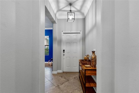 Villa ou maison à vendre à Tampa, Floride: 5 chambres, 355.07 m2 № 2220977 - photo 11