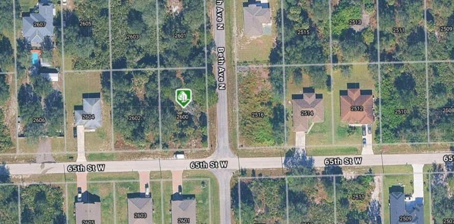 Land in Lehigh Acres, Florida № 2393614