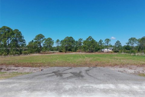 Terreno en Clewiston, Florida № 2171115