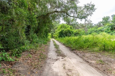 Terreno en venta en Reddick, Florida № 1901755 - foto 2