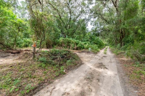 Terreno en venta en Reddick, Florida № 1901755 - foto 1