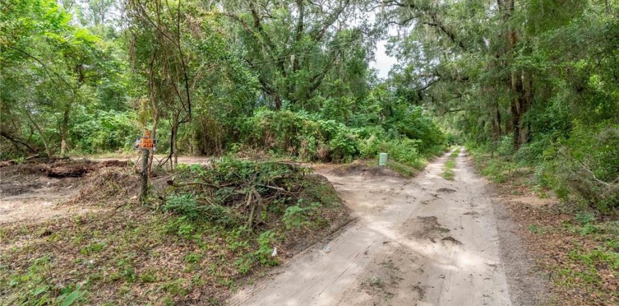 Terreno en Reddick, Florida № 1901755