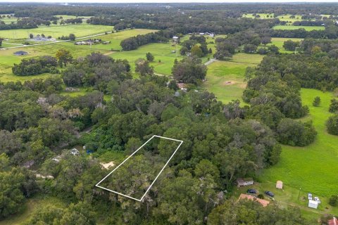 Terreno en venta en Reddick, Florida № 1901755 - foto 5