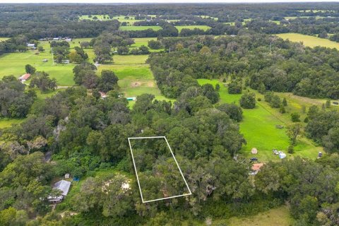 Terreno en venta en Reddick, Florida № 1901755 - foto 4
