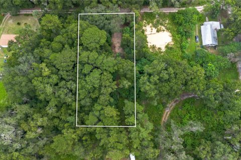 Terreno en venta en Reddick, Florida № 1901755 - foto 6