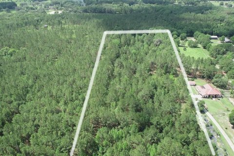 Land in Ocala, Florida № 481194 - photo 8