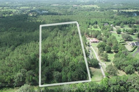 Land in Ocala, Florida № 481194 - photo 10