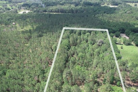 Land in Ocala, Florida № 481194 - photo 9