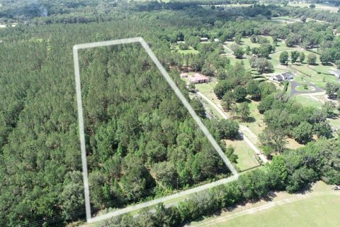 Land in Ocala, Florida № 481194 - photo 4