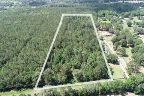Land in Ocala, Florida № 481194 - photo 6