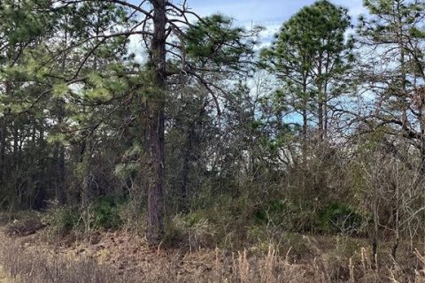 Land in Weeki Wachee, Florida № 2160955 - photo 5