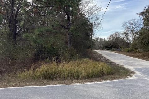 Land in Weeki Wachee, Florida № 2160955 - photo 2