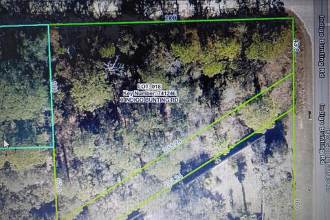 Land in Weeki Wachee, Florida № 2160955