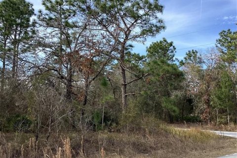 Land in Weeki Wachee, Florida № 2160955 - photo 4