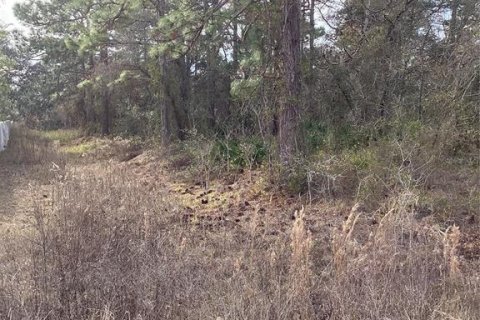 Land in Weeki Wachee, Florida № 2160955 - photo 6