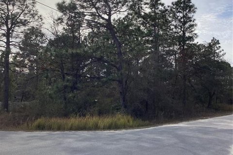 Land in Weeki Wachee, Florida № 2160955 - photo 3