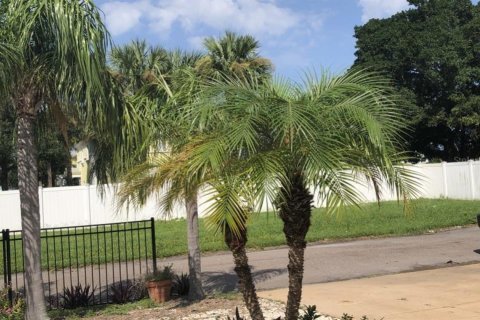 Casa en alquiler en Saint Petersburg, Florida, 3 dormitorios, 130.06 m2 № 1684434 - foto 19