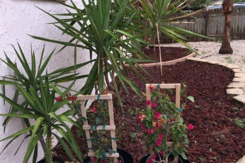 Casa en alquiler en Saint Petersburg, Florida, 3 dormitorios, 130.06 m2 № 1684434 - foto 20