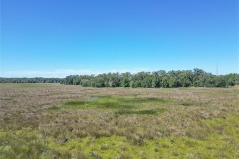 Land in Webster, Florida № 2144913 - photo 14