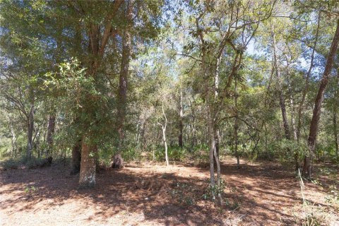 Land in Webster, Florida № 2144913 - photo 29