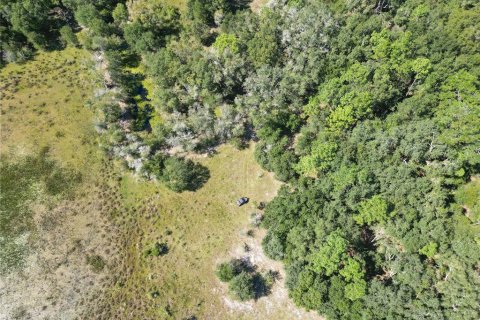 Land in Webster, Florida № 2144913 - photo 19