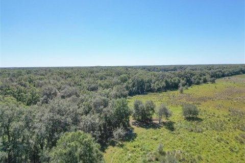 Land in Webster, Florida № 2144913 - photo 25