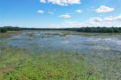 Land in Webster, Florida № 2144913 - photo 11