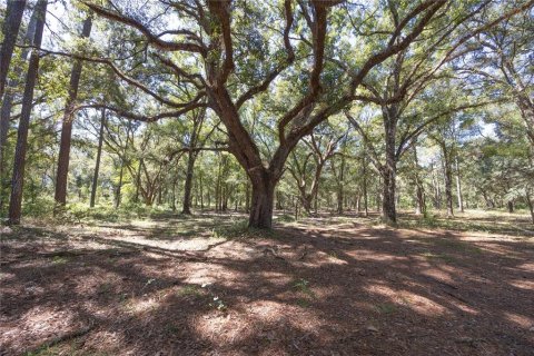 Land in Webster, Florida № 2144913 - photo 27