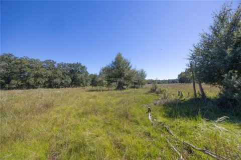 Land in Webster, Florida № 2144913 - photo 22