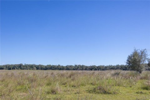 Land in Webster, Florida № 2144913 - photo 10