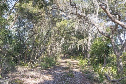 Land in Webster, Florida № 2144913 - photo 17