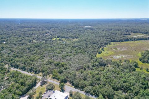 Land in Webster, Florida № 2144913 - photo 13