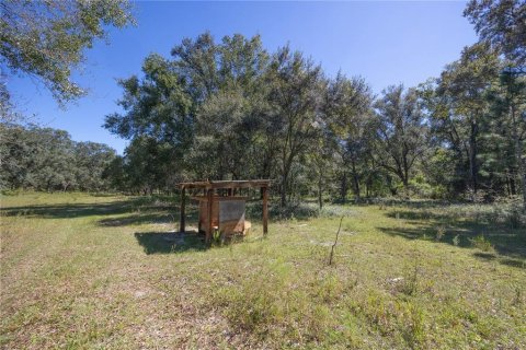 Land in Webster, Florida № 2144913 - photo 28