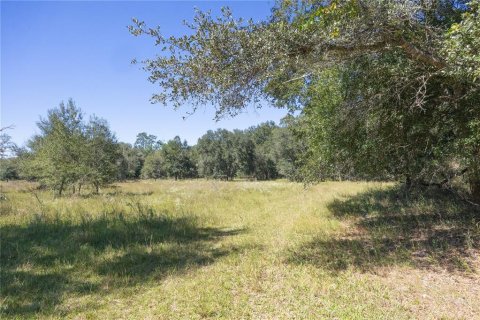 Land in Webster, Florida № 2144913 - photo 9