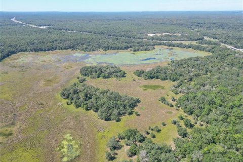 Land in Webster, Florida № 2144913 - photo 24