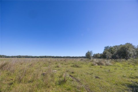 Land in Webster, Florida № 2144913 - photo 23