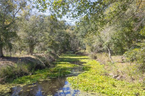 Land in Webster, Florida № 2144913 - photo 30
