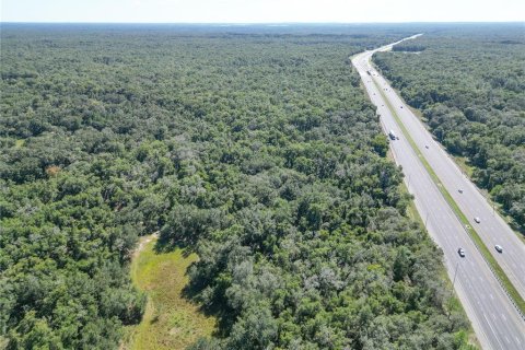 Land in Webster, Florida № 2144913 - photo 3