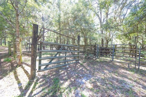 Land in Webster, Florida № 2144913 - photo 18