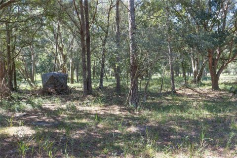 Land in Webster, Florida № 2144913 - photo 20