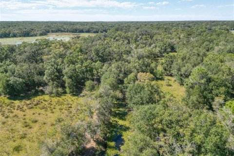 Land in Webster, Florida № 2144913 - photo 15