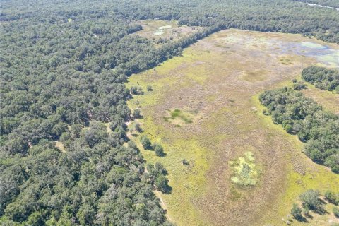 Land in Webster, Florida № 2144913 - photo 21